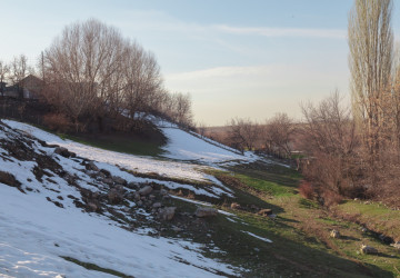 Teploty v Česku mohou vyskočit až o 20 stupňů Celsia
