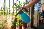I na balkoně si můžete vypěstovat vlastní zeleninu