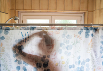 Sprchové závěsy jsou postupně vytlačovány modernějším řešením. Sprchové závěsy jsou postupně vytlačovány modernějším řešením.