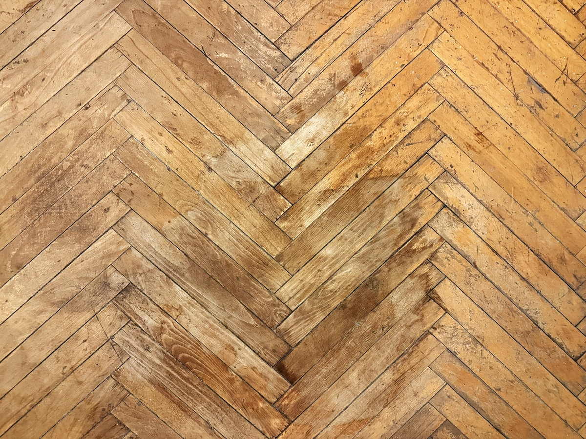 Staré parkety mohou být napadeny plísní. Staré parkety mohou být napadeny plísní.