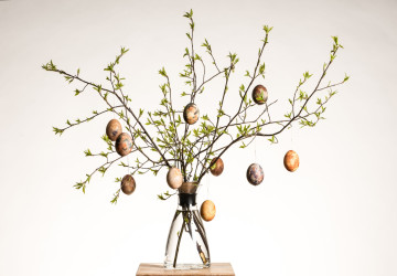 Větvička ve váze je dekorací, za kterou nemusíte zaplatit ani korunu. 