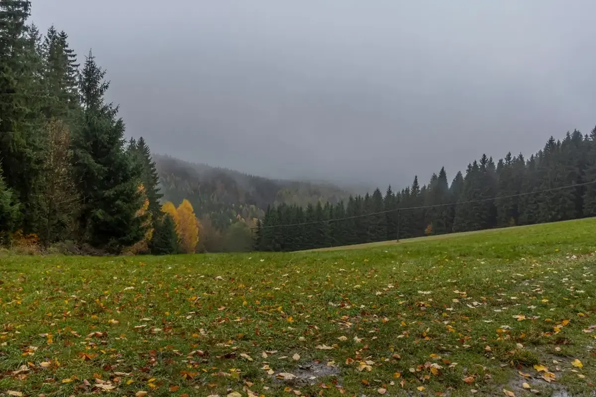Na konci října se může výrazně ochladit. 