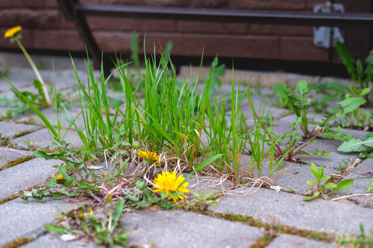Konec dlažebních kostek Konec dlažebních kostek