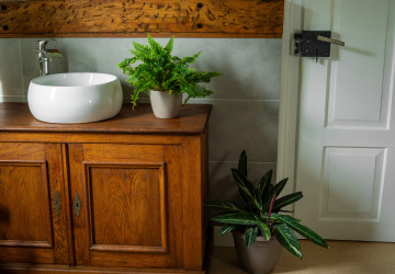 Rostlina do koupelny a na toaletu zatočí s plísní i nepříjemným odérem