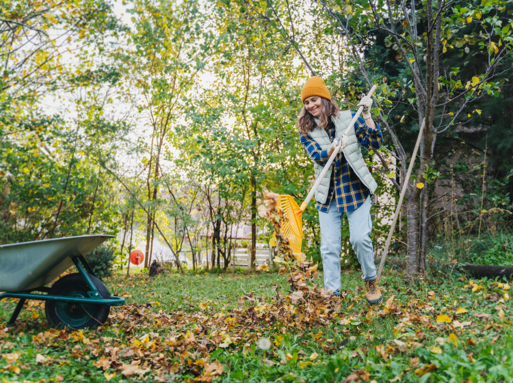 Tento nenápadný detail na zahradě může přilákat škůdce Tento nenápadný detail na zahradě může přilákat škůdce