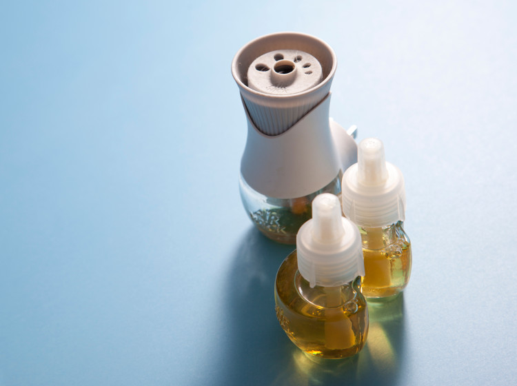 Odborníci varují před populární domácí dekorací Odborníci varují před populární domácí dekorací