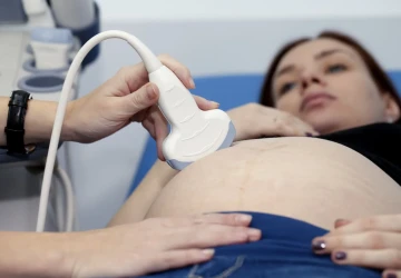 Ve vládní koalici probíhá spor týkající se umělého oplodnění