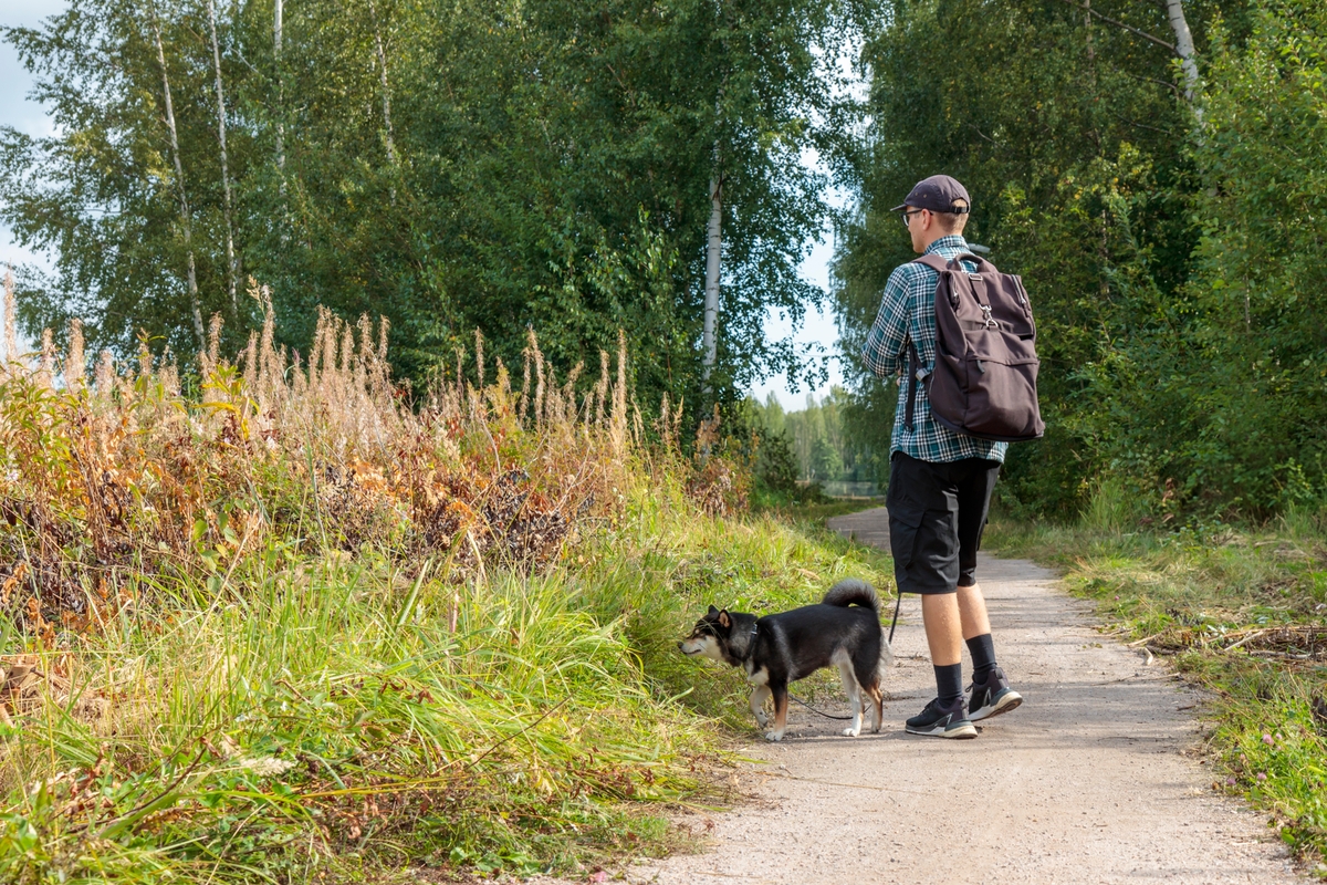 Jaro letos dorazí navzdory dřívějším předpokladům dřív.