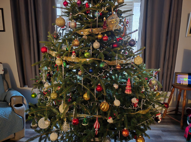 Když se o stromeček budete dobře starat, vydrží vám doma dlouho.