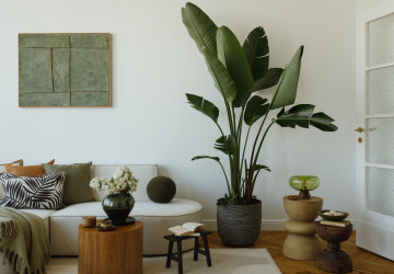 Tahle věc by podle feng-šuej nikdy neměla stát na zemi Tahle věc by podle feng-šuej nikdy neměla stát na zemi