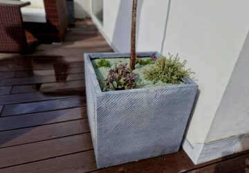 V domácnostech se začíná objevovat jiný způsob pěstování rostlin.