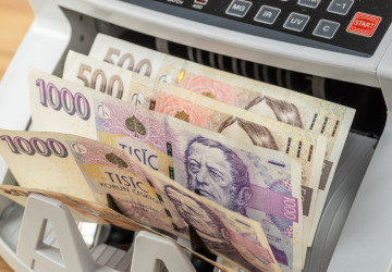 I v letošním roce bude pravděpodobně možné využívat dotace