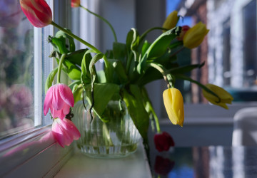 Vyměňte zvadlé květiny za stylový doplněk Vyměňte zvadlé květiny za stylový doplněk