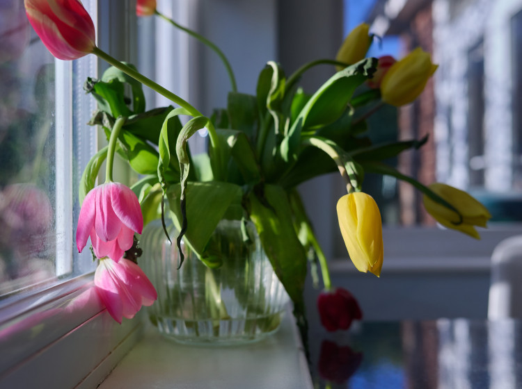 Vyměňte zvadlé květiny za stylový doplněk Vyměňte zvadlé květiny za stylový doplněk