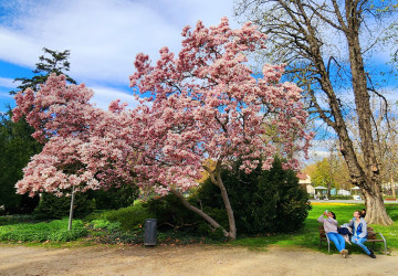 Slunečné počasí na duben