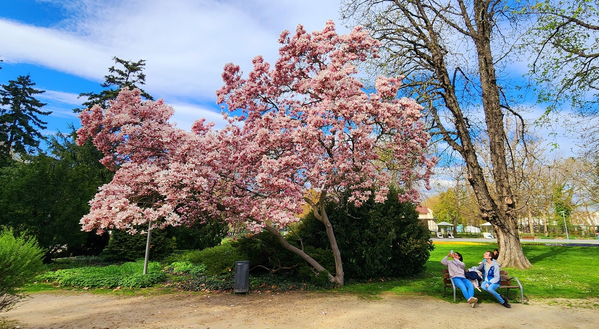 Slunečné počasí na duben