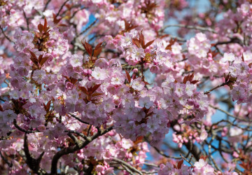 Českou republiku zasáhne teplotní šok