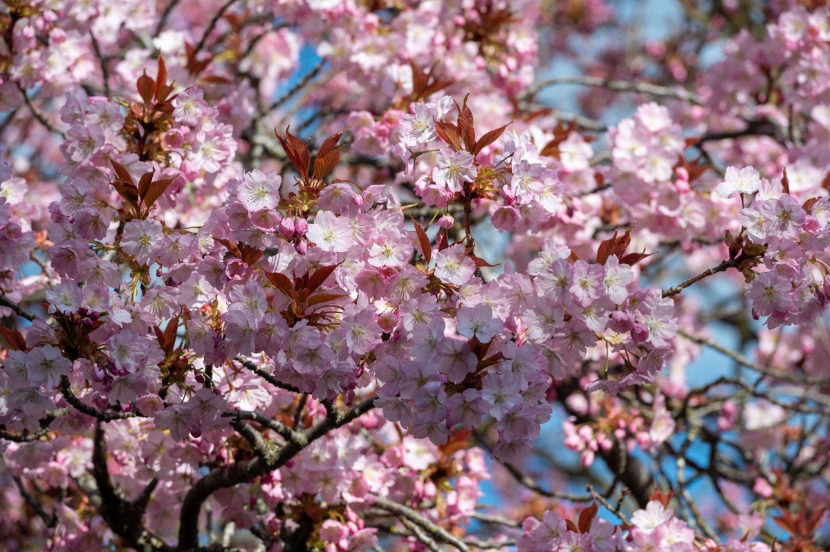 Českou republiku zasáhne teplotní šok