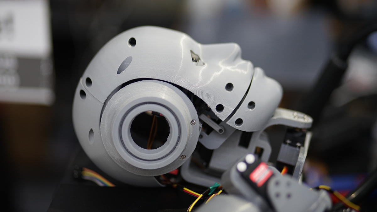 Na Alze už bude možné zakoupit i humanoidního robota.