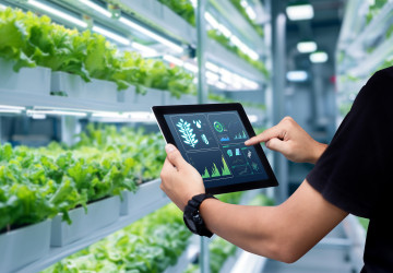 Chytrý květináč se sám zaleje a ještě pošle notifikaci do mobilu. Úrodu budete mít lepší než Béďa Trávníček