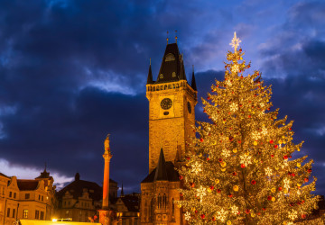 Praha již měla 47 tipů na vánoční strom, ale nesplňovaly podmínky. Praha již měla 47 tipů na vánoční strom, ale nesplňovaly podmínky.