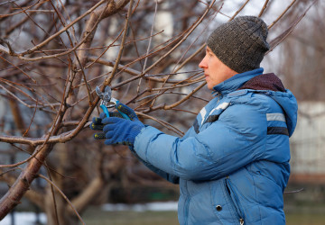 Některé práce na vaší zahradě je potřeba vykonat už teď v únoru, nezmeškejte to