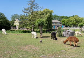 Farmy v Česku zažívají boom Farmy v Česku zažívají boom