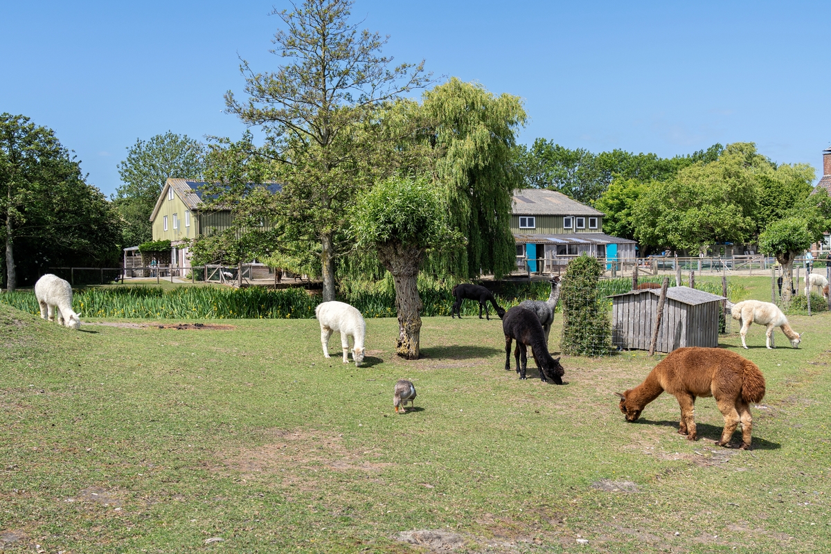 Farmy v Česku zažívají boom Farmy v Česku zažívají boom