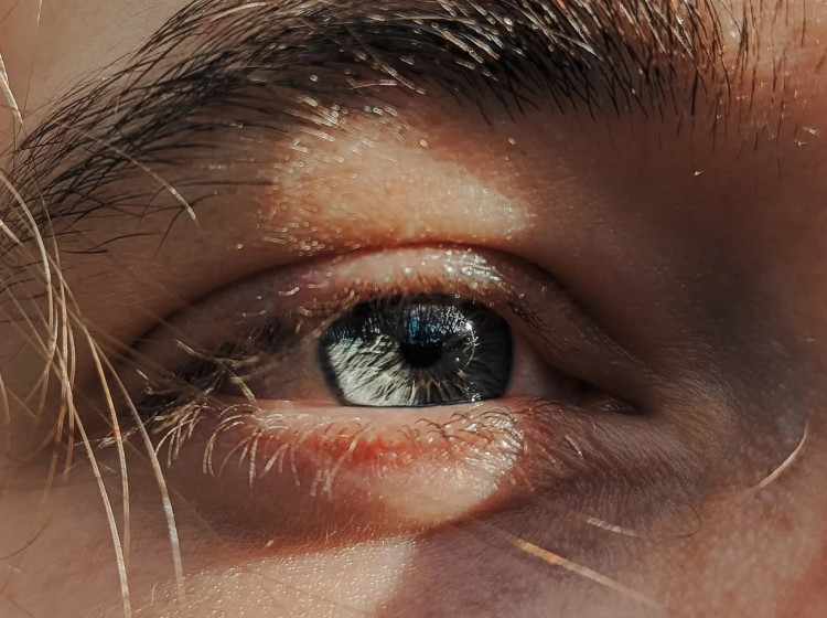 Může barva očí souviset s inteligencí?