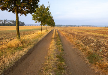 Letošní léto by mohlo být velmi teplé