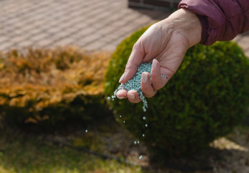 Zničený trávník po zimě snadno zachráníte díky správnému hnojivu Zničený trávník po zimě snadno zachráníte díky správnému hnojivu