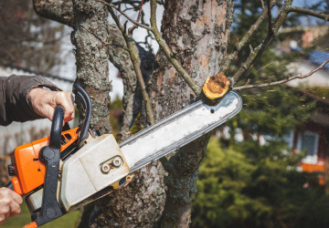 Některé obce v ČR zakazují určité práce na zahradě