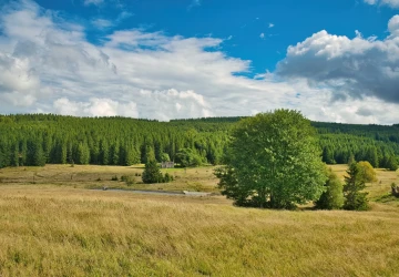 Tento týden udeří až 33 stupňů Tento týden udeří až 33 stupňů