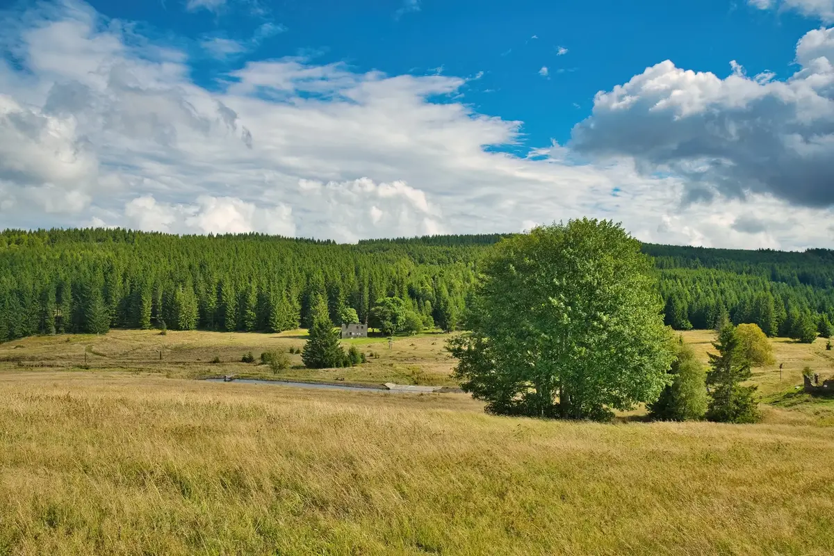 Tento týden udeří až 33 stupňů