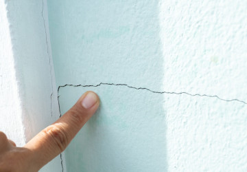 Tento hmyz může do vaší domácnosti proniknout drobnými prasklinami Tento hmyz může do vaší domácnosti proniknout drobnými prasklinami