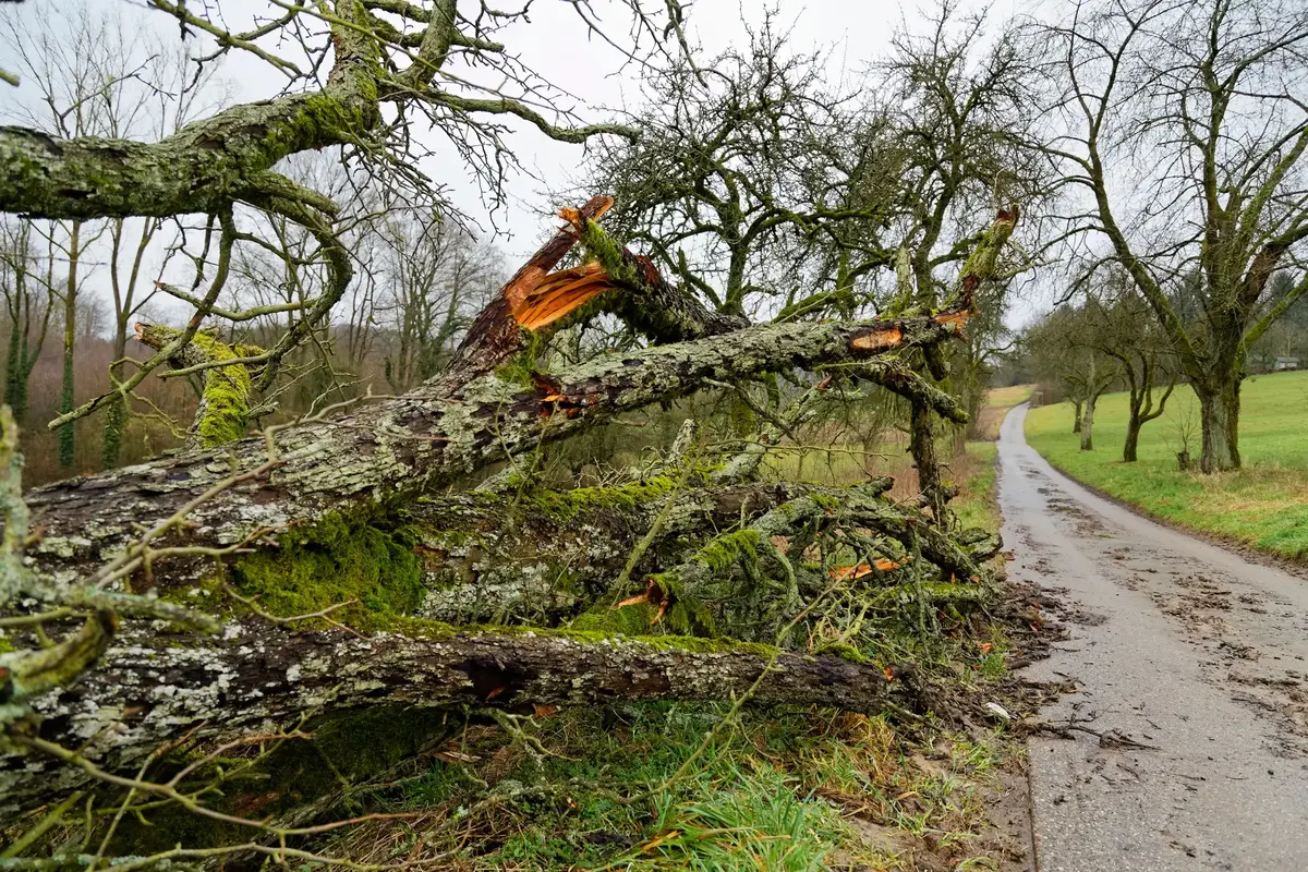 Meteorologové vydali výstrahu hned pro čtyři kraje