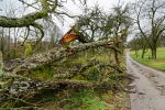 Meteorologové vydali výstrahu hned pro čtyři kraje