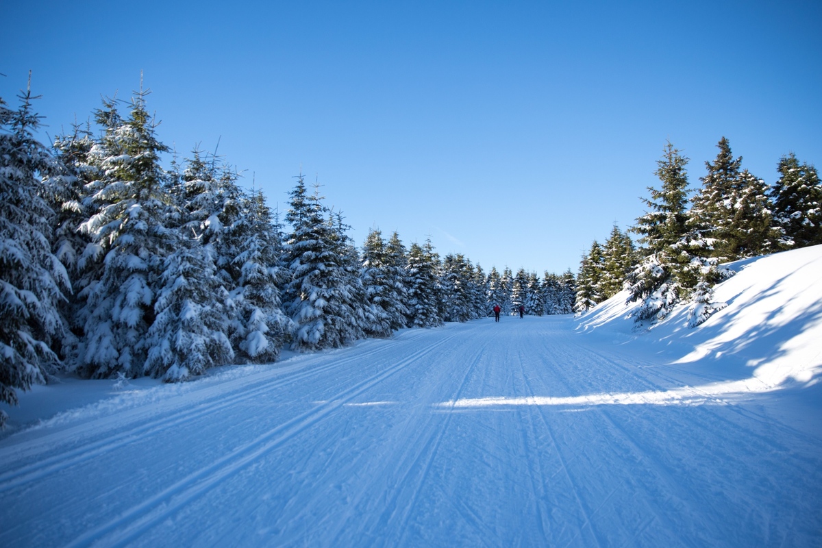 Do Česka míří sněhové přeháňky
