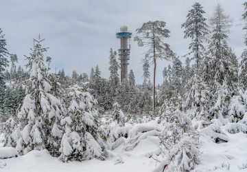 Předpověď počasí na závěr tohoto týdne počítá se sněžením. 