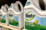 Špolečnost Bayer čeká na rozhodnutí Nejvyššího soudu
