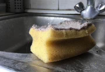 Pokud se i vy potýkáte se zapáchající houbičkou, jednoduchý trik vám pomůže Pokud se i vy potýkáte se zapáchající houbičkou, jednoduchý trik vám pomůže