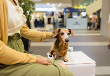 EU připravuje povinné registrace psů i koček do databází.