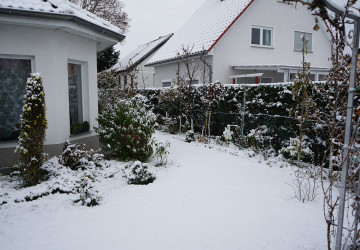 Když pomine mráz a sníh začne tát, zahrada odhalí své neduhy.