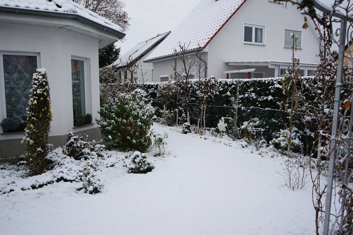 Když pomine mráz a sníh začne tát, zahrada odhalí své neduhy. Když pomine mráz a sníh začne tát, zahrada odhalí své neduhy.
