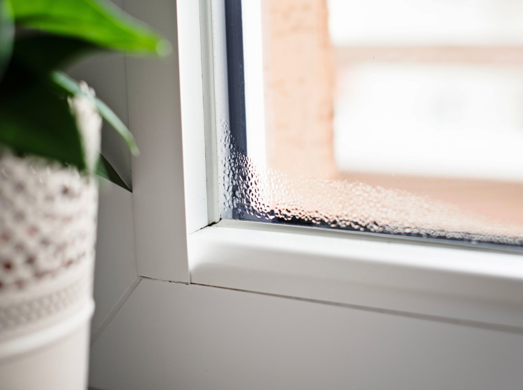 Zbavte se vlhkosti snadno a levně Zbavte se vlhkosti snadno a levně