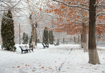 Meteorologové přiblížili datum nejchladnějších dnů i sněhové nadílky Meteorologové přiblížili datum nejchladnějších dnů i sněhové nadílky