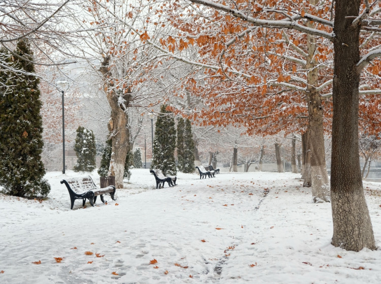 Meteorologové přiblížili datum nejchladnějších dnů i sněhové nadílky