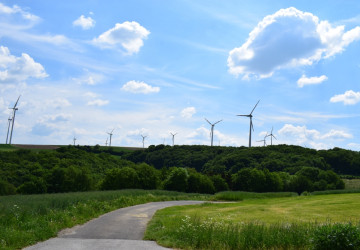 Situace v Německu se může přenést i do ČR. Situace v Německu se může přenést i do ČR.