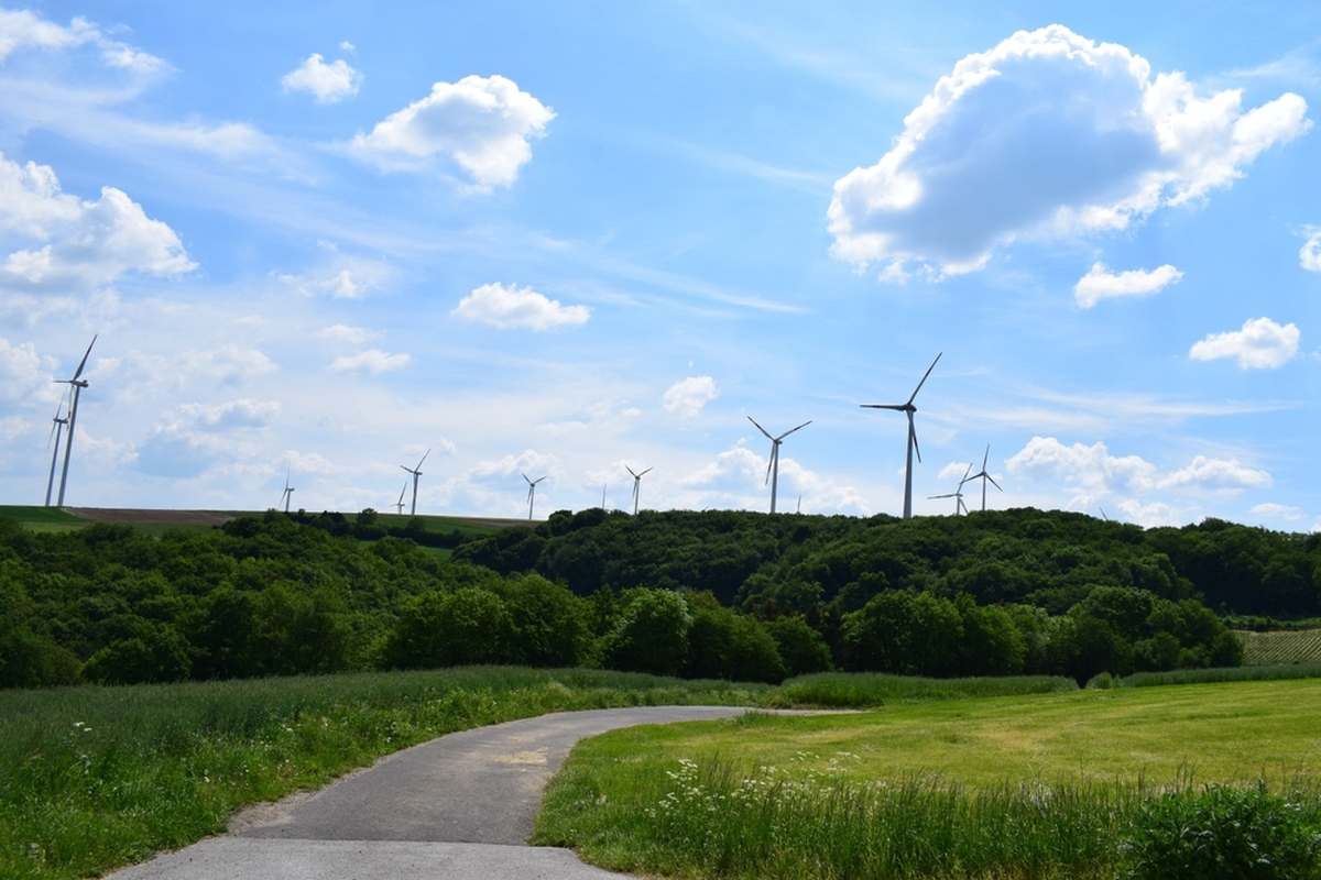 Situace v Německu se může přenést i do ČR. Situace v Německu se může přenést i do ČR.