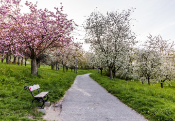 Letní teploty letos přijdou nečekaně rychle. 